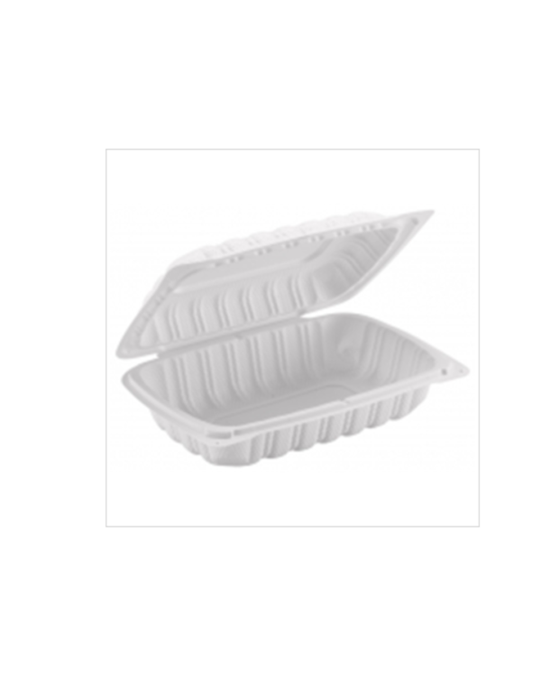 9x6x3" Plastic Hinged Container 200/cs (FST99)