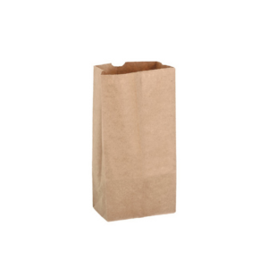 1 LB Kraft Paper Grocery Bag 500/cs
